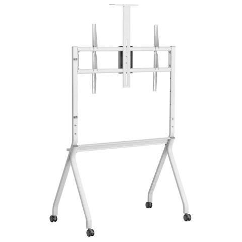 Stand / wózek do TV Maclean, półka na kamerę, na kółkach, 55-100", max. obciążenie 120kg/10kg półka, max. VESA 900x600, biały, M