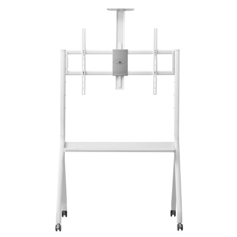 Stand / wózek do TV Maclean, półka na kamerę, na kółkach, 55-100", max. obciążenie 120kg/10kg półka, max. VESA 900x600, biały, M