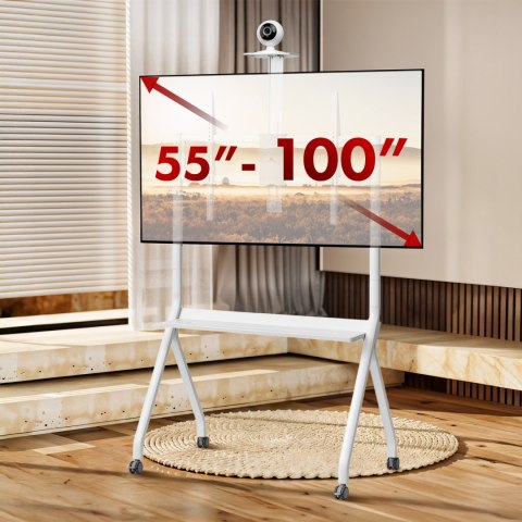 Stand / wózek do TV Maclean, półka na kamerę, na kółkach, 55-100", max. obciążenie 120kg/10kg półka, max. VESA 900x600, biały, M