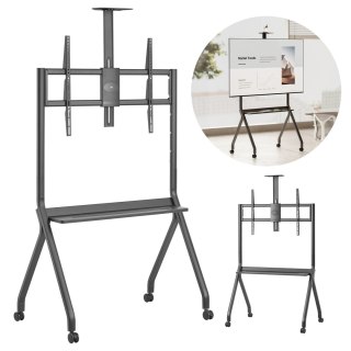 Stand / wózek do TV Maclean, półka na kamerę, na kółkach, 55-100", max. obciążenie 120kg/10kg półka, max. VESA 900x600, czarny,