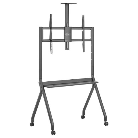 Stand / wózek do TV Maclean, półka na kamerę, na kółkach, 55-100", max. obciążenie 120kg/10kg półka, max. VESA 900x600, czarny,