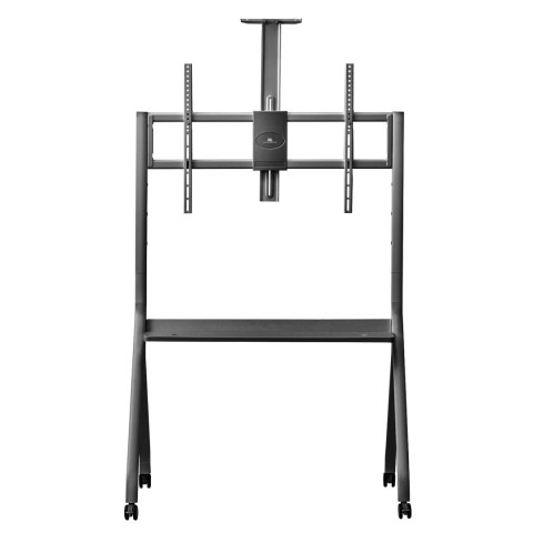 Stand / wózek do TV Maclean, półka na kamerę, na kółkach, 55-100", max. obciążenie 120kg/10kg półka, max. VESA 900x600, czarny,