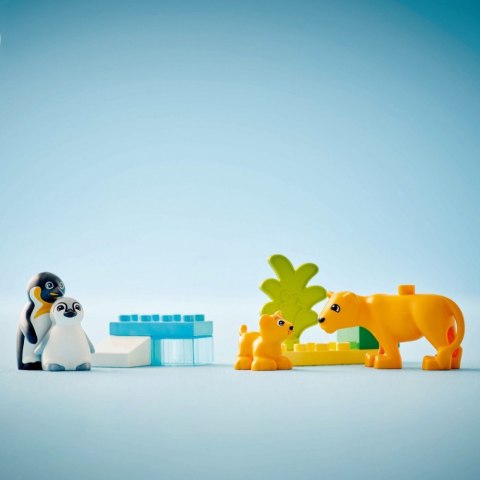Klocki duplo 10442 rodziny dzikich zwierząt: pingwiny i lwy