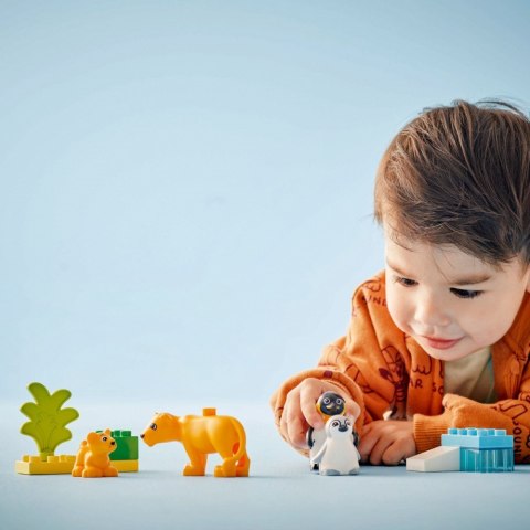 Klocki duplo 10442 rodziny dzikich zwierząt: pingwiny i lwy