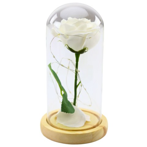 Wieczna Róża W Szkle Kopuła Oświetlenie LED Biała 21x11cm