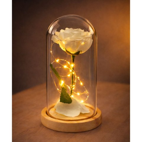 Wieczna Róża W Szkle Kopuła Oświetlenie LED Biała 21x11cm