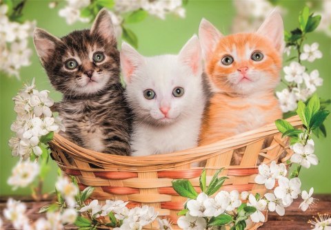 Puzzle 2x60 Super Color BRACIA W FUTRACH PIESKI I KOTKI Clementoni 24820