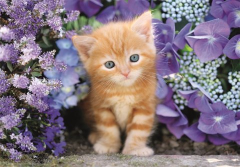 Puzzle 500 HQC RUDY KOTEK Clementoni 35585