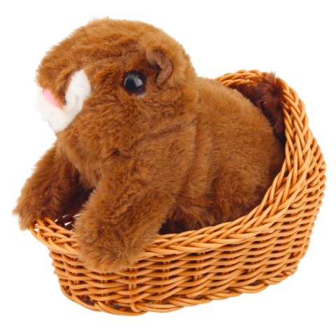 Pluszowa Interaktywna Wiewiórka W Koszyku Chodzi Wydaje Dźwięki Brązowa