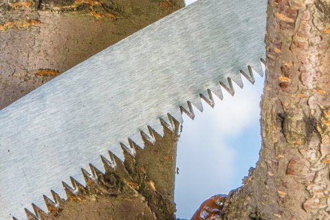 Piła ogrodowa z pokrowcem