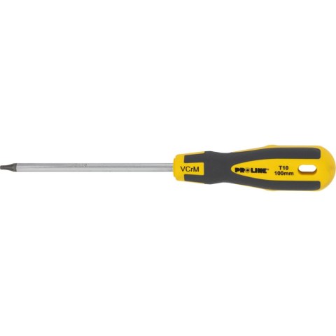 10190 Wkrętak torx security T10