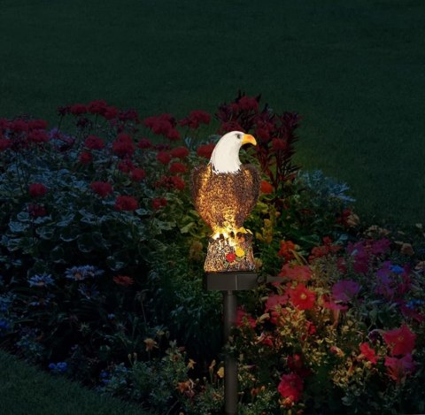 ZD50L Lampa solarna led orzeł