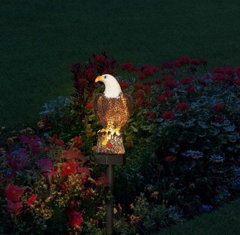 ZD50L Lampa solarna led orzeł