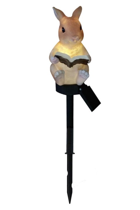 ZD50R Lampa solarna led królik z książką