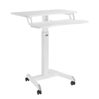 Mobilna stacja robocza z regulacją wysokości i podwójną platformą Ergo Office, do pracy w pozycji stojącej, biała max. 8kg, max