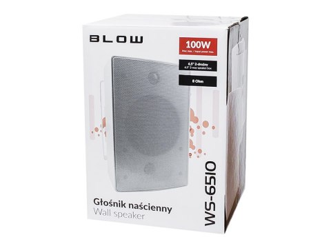 30-731# Głośnik naścienny 305x203x203 6,5" zewnętrzny ws-6510