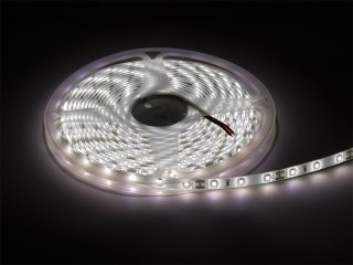 70-731# Taśma led biały zimny 2835 5m/300wodoodporna