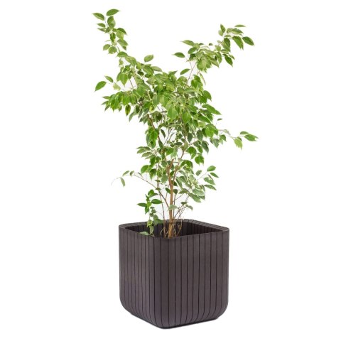 Doniczka Keter Cube Wood Planter S brązowa