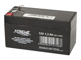 82-234# Akumulator żelowy 12v 1.3ah xtreme 98x52x44_4,8