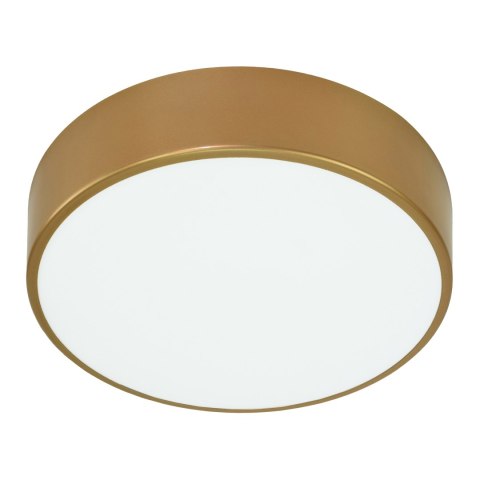 OVO plafon LED, 43W, 4000K, 4750lm, złota stal, klosz szklany matowy, IP20, ? 400