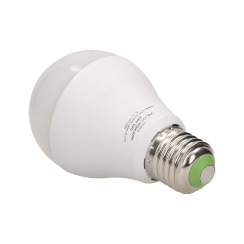 THAR LED NEW 7W A60, żarówka z mikrofalowym czujnikiem ruchu, 600lm, 4000K, E27