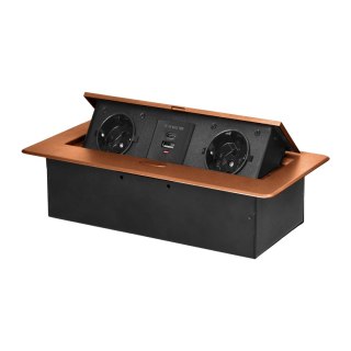 Gniazdo meblowe wpuszczane w blat z płaskim frezowanym rantem i ładowarką USB, 2x2P+Z (Schuko),2xUSB (typ A+C; 3,6A), złote